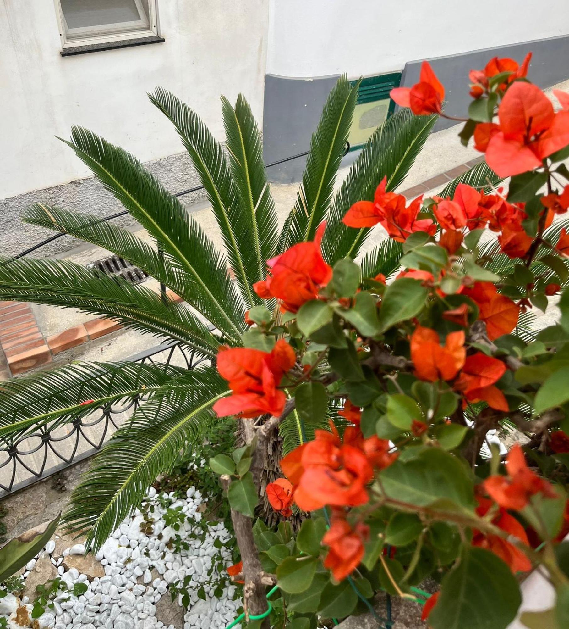 אנה קאפרי Alle Stelle B&B מראה חיצוני תמונה